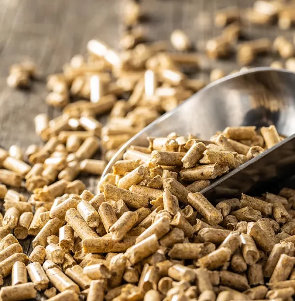 Pellets de Azinheira